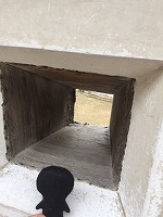 IMG_7731.jpg