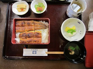 IMG_8492.jpg