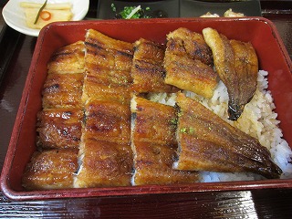 IMG_8505.jpg