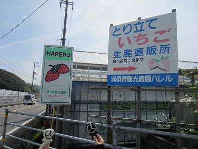 IMG_8970.jpg