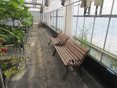 IMG_9009.jpg