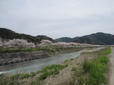 IMG_9023.jpg